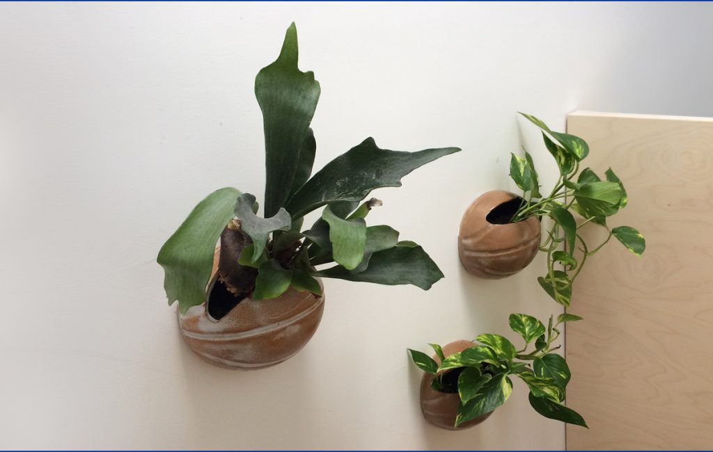 Ceramic indoor wall planters in the shape of half a basketball